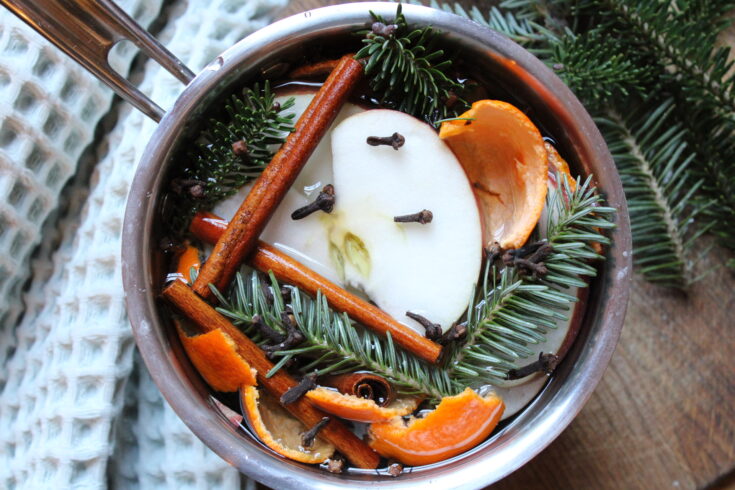 Apple Spice Simmer Pot