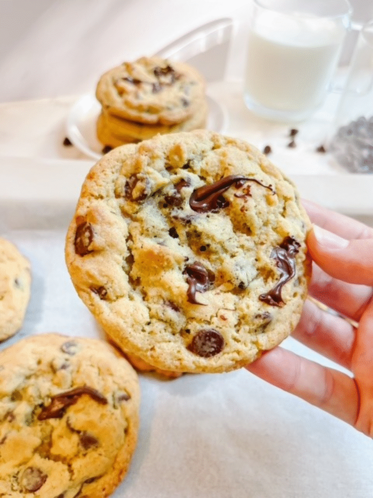 Sourdough Chocolate Chip Cookies