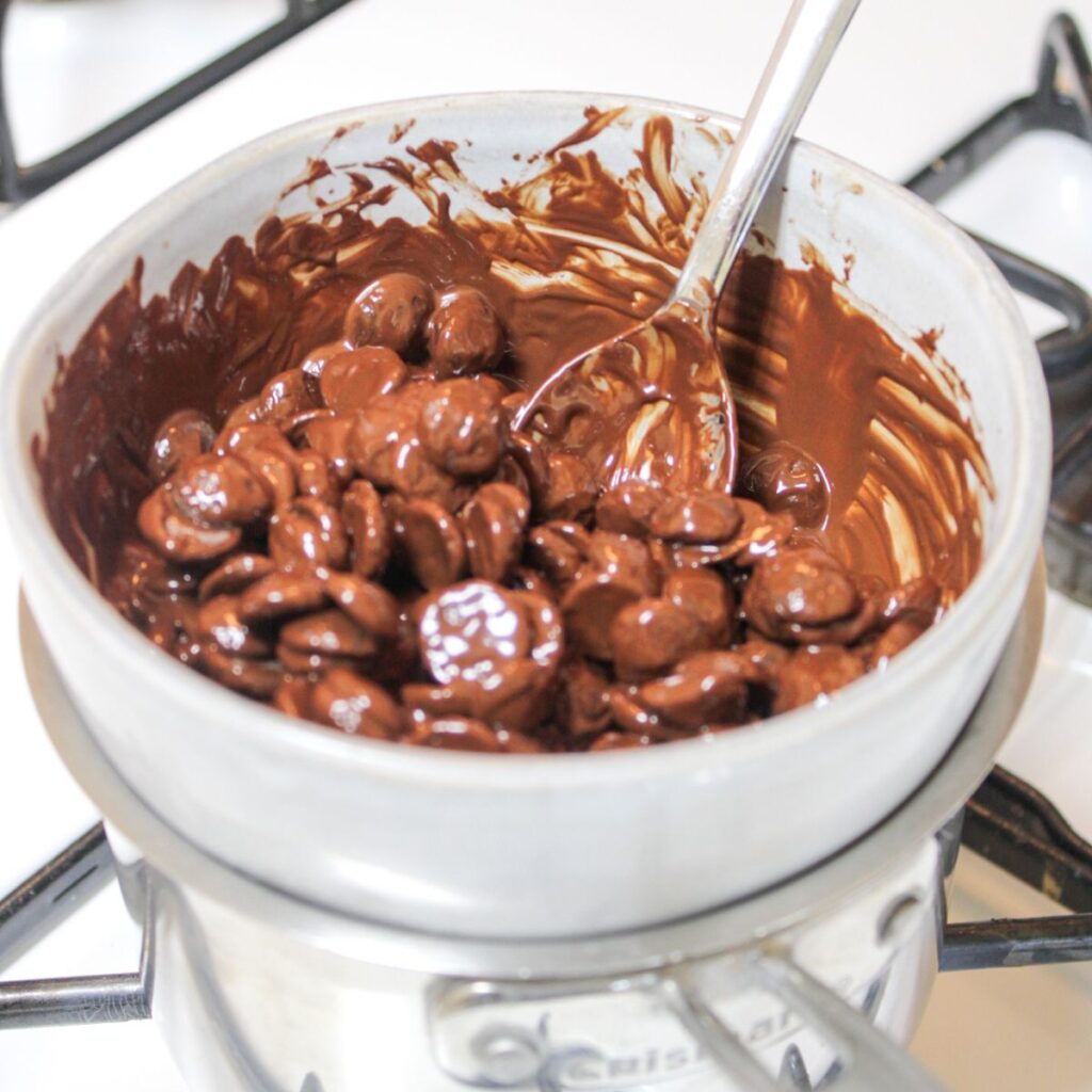 Melt dark chocolate chips using a double broiler on the stove.