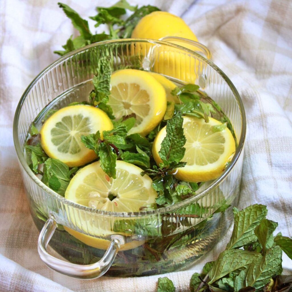 Fresh mint leaves paired with lemon slices in a simmer pot.