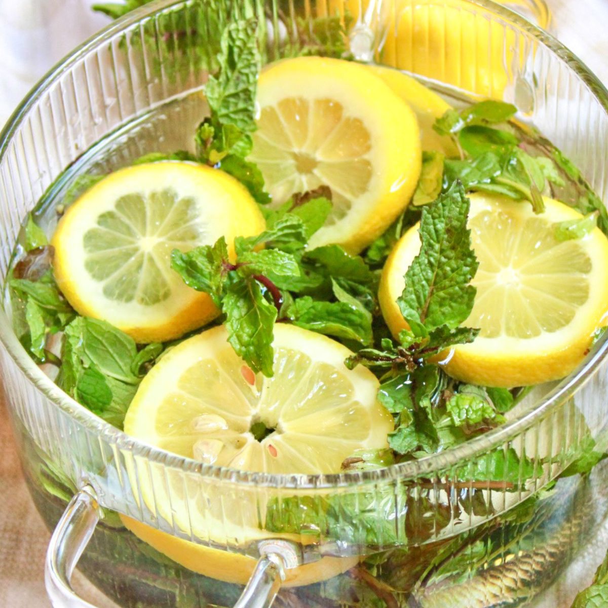 Put fresh lemon slices and mint leaves into the simmer pot to create a fresh, minty scent.
