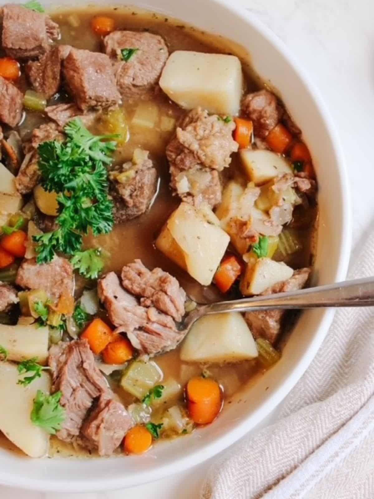 Beef stew on plate