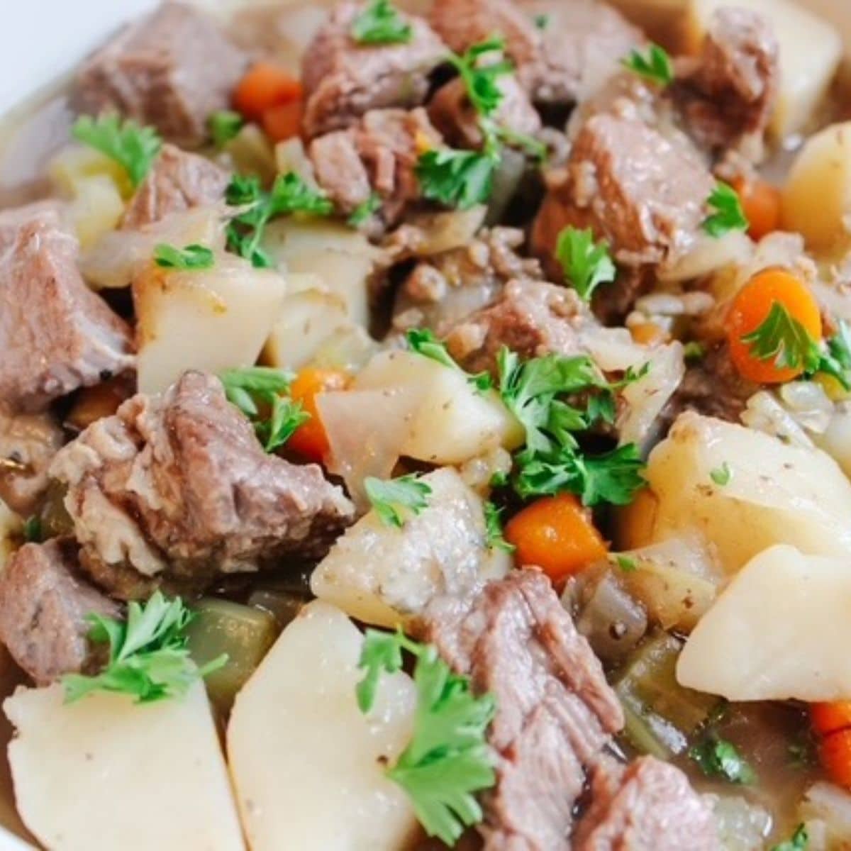 beef stew up close