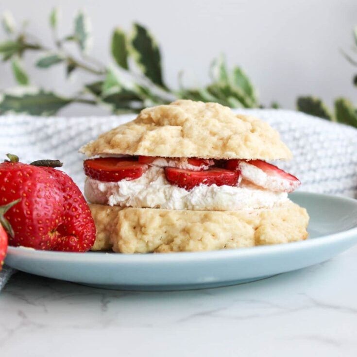 A sourdough strawberry shortcake sliced in half with homemade whipped cream and strawberry slices in the middle of the two halves, kind of like a sandwich.