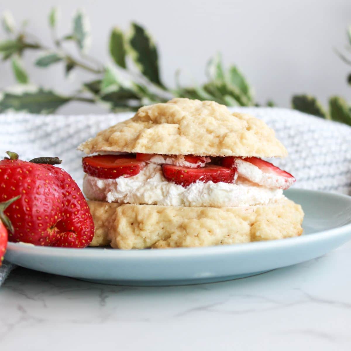 A sourdough strawberry shortcake sliced in half with homemade whipped cream and strawberry slices in the middle of the two halves, kind of like a sandwich.