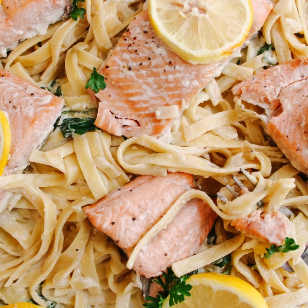 lemon salmon pasta up close