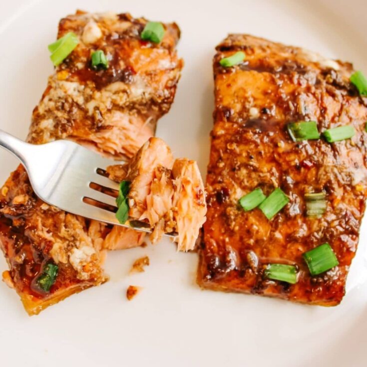 flaked salmon on fork