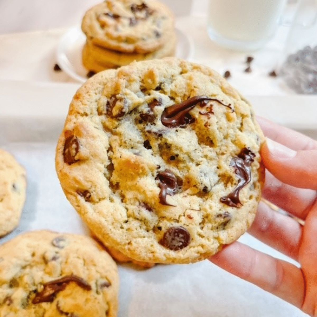 sourdough chocolate chip cookies
