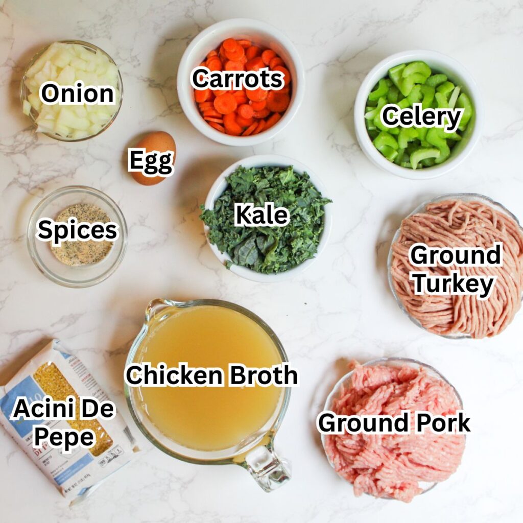 Ingredients to make slow cooker Italian wedding soup: Onion, egg, carrots, celery, ground turkey, spices, chicken broth, ground pork, acini de pepe.